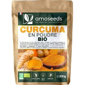 Curcuma Bio Brevet Extra Fort Haute Absorption X Mg Par