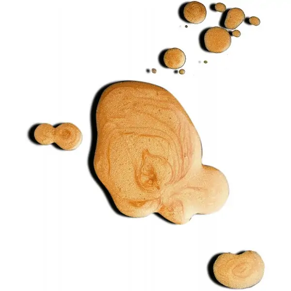 Electric Nights Illuminator Face and Body van L'Oréal Paris L'Oréal 7,99 €