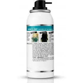 Turquoise - Temporary Hair Color Spray Colorista 1 Day Spray by L'Oréal Paris L'Oréal € 2.99