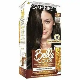 3.03 Dark Natural Golden Chestnut - Garnier L'Oréal Belle Color Les Châtains Eclat Haarfarbe 6,71 €