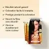 3.03 Castaña dourada natural escuro - Garnier L'Oréal Belle Color Les Châtins Eclat Tinte para o cabelo 6,71 €