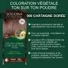 090 Golden Chestnut - Permanent Herbal Hair Color Tone on Tone Organic and VEGAN Henna Powder by LOGONA LOGONA Naturkosmetik ...