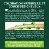 092 Café Glacé - Coloration Permanente Végétale Ton sur Ton Poudre de Hénné BIO et VEGAN de LOGONA LOGONA Naturkosmetik 7,42 €