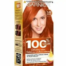 Garnier 100% Ultra Brun - Coloration Permanente Ultra Brun 2.10 Le