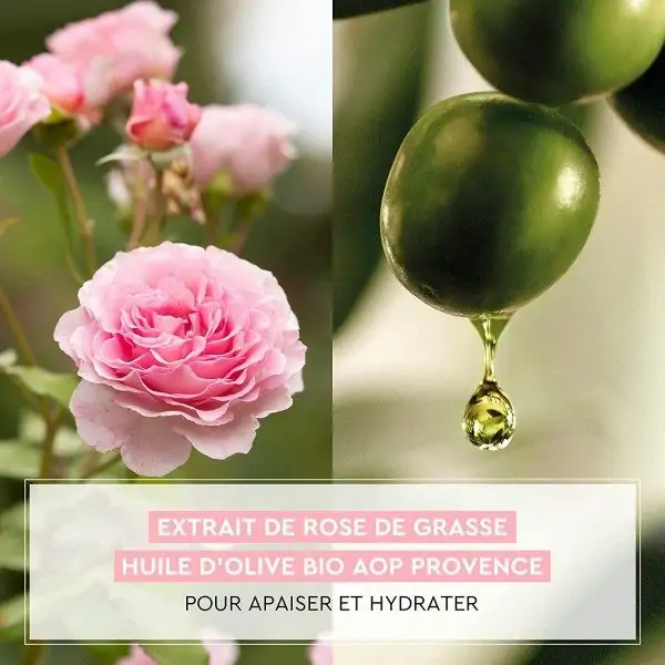 Crema Hidratante Calmante Radiante 48H Aceite de Oliva y Extracto de Rosa de Grasse de La Provençale Bio La Provençale 7,81 €
