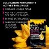 6.3 Golden Honey Chestnut - Ammonia-Free Permanent Hair Color With Natural Oils of Olia Flowers by Garnier Garnier 6,12 €