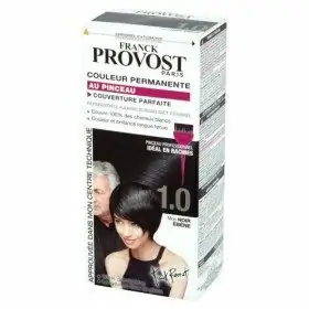1.0 Ebony Black - Color permanent + Pinzell professional de FRANCK PROVOST Franck Provost 5,50 €