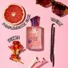 L'Echappée Belle (Limited Edition von HONEYSHAY) – Eau de Toilette für Frauen 75 ml von Eau Jeune Eau Jeune 7,99 €