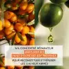 Intensief herstellend aanvullend masker Duindoorn en biologische olijfolie AOP Provence voor beschadigd haar van La Provençale