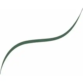 05 Saliegroen - L'Oréal Paris Infallible Micro Liner Eyeliner L'Oréal €4,99
