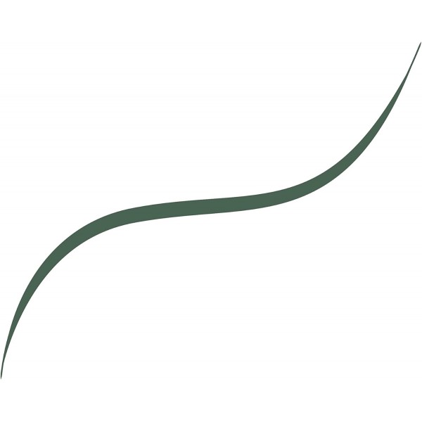 05 Verde Salvia - L'Oréal Paris Infallible Micro Liner Eyeliner L'Oréal €4,99
