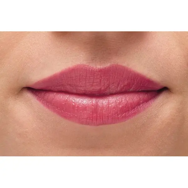Rosa Delicado - Barra de Labios Le Rouge Fondant Acabado Brillante Natural de La Provençale Bio La Provençale 5,00 €