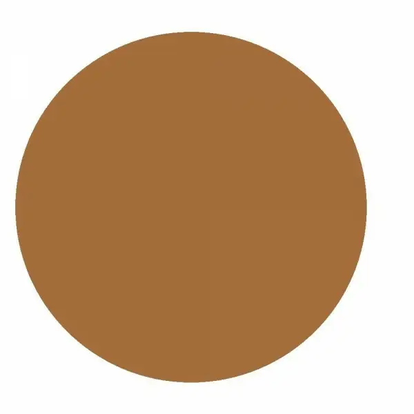 11 Ámbar Ouro - fundación Almofada Nude Maxia por L 'oréal París L' oréal París 17,90 €