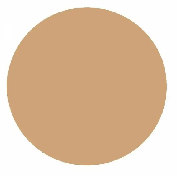 6 Beige Rosé - Fond de Teint Cushion Nude Magique de L’Oréal Paris L'Oréal 4,09&nbsp;€