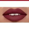 24 Dark Cherie - Red Lip MATTE EDITION VELVET from Bourjois Paris Boucheron Paris 15,90 €