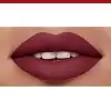 24 Donkere Cherie - Rode MATTE Lip VELVET EDITION van Bourjois Paris Boucheron Parijs 15,90 €