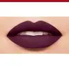 25 Berry Chic - Rouge à Lèvre MATTE EDITION VELVET de Bourjois Paris Bourjois Paris 2,00 €