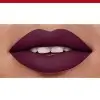 25 Berry Chique Rode MATTE Lip VELVET EDITION van Bourjois Paris Boucheron Parijs 15,90 €