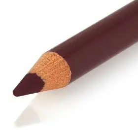 338 Mezzanotte Prugna Matita Labbra Lip Liner Colore Sensazionale de Gemey Maybelline Gemey Maybelline 9,99 €