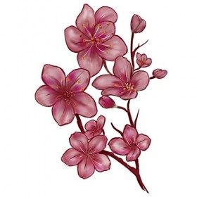 Tatouage Éphémère Fleur de Cerisier - 1 Feuille d1 faux tattoo fleur | Bras, épaule, mollet, cuisse, jambe | Rose | Tatouage ...