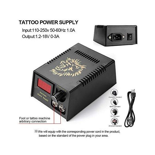 Solong Tattoo Kit De Tatouage Complet 2 Machines à Tatouer 1 Alimentation LCD 10 Encres 2 Poignées 50 Aiguilles de Tatouage T