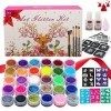 Holady Kit de tatouages à paillettes avec 30 tubes à paillettes et 145 pochoirs et 5 pochoirs de couleur, 4 brosses et 2 styl