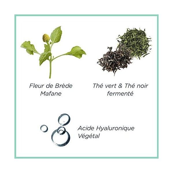 Diadermine - Lift+ Végétal Actif - Sérum Anti-Rides - Sérum Visage - Sérum Anti-Age -Acide Hyaluronique Végétal et Actifs Bot...