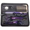 Kit de Ciseaux de Coiffure Professionnel Ciseaux Coiffure 5,5 Peigne Inox Violet Rasoir Acier Japonais Ciseaux Coiffure Desep