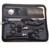 Kit de Ciseaux de Coiffure Professionnel Ciseaux Coiffure 5,5 Peigne Inox Violet Rasoir Acier Japonais Ciseaux Coiffure Desep