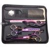 Kit de Ciseaux de Coiffure Professionnel Ciseaux Coiffure 5,5 Peigne Inox Violet Rasoir Acier Japonais Ciseaux Coiffure Desep