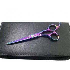 Ciseaux de coiffure professionnels de 15,2 cm - lames tranchantes - pour femme/homme/enfant - en acier inoxydable 420C - coul