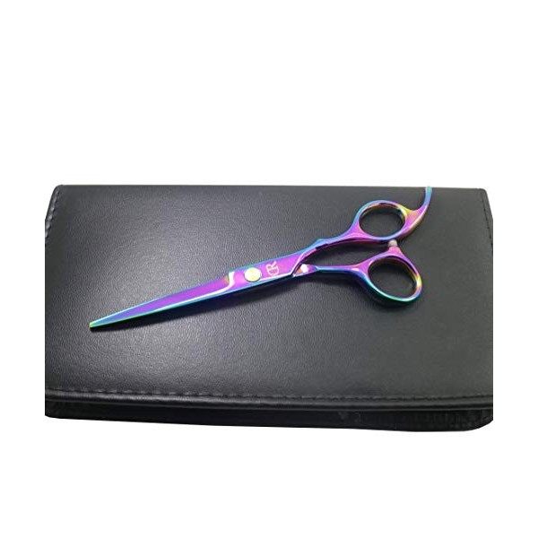 Ciseaux de coiffure professionnels de 15,2 cm - lames tranchantes - pour femme/homme/enfant - en acier inoxydable 420C - coul