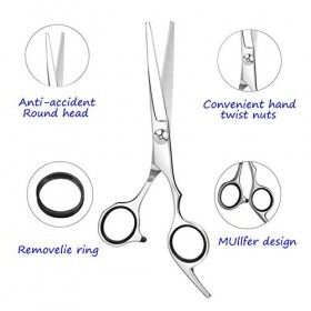 ESSOY Ciseaux de Coiffure de Cheveux Professionnels,Ciseaux Coiffure de Cheveux en Acier Inoxydable Pour Salon à Domicile, Ci