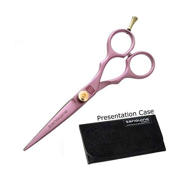 Ciseaux de Coiffure Professionnels Rose - Ciseaux de Coupe de Cheveux - 14 cm - Lames Ultra Tranchantes pour Réduire les Poin