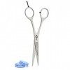 Haryali London Ciseaux de coiffure professionnel pour salon de coiffure avec vis fixes et bords tranchants 16,5 cm