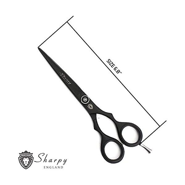 Sharpy - Ciseaux De Coiffure Professionnelle Ciseau Coiffure pour Salon de Coiffure - 6.0 Pouces Acier Inoxydable Ciseau à Ci