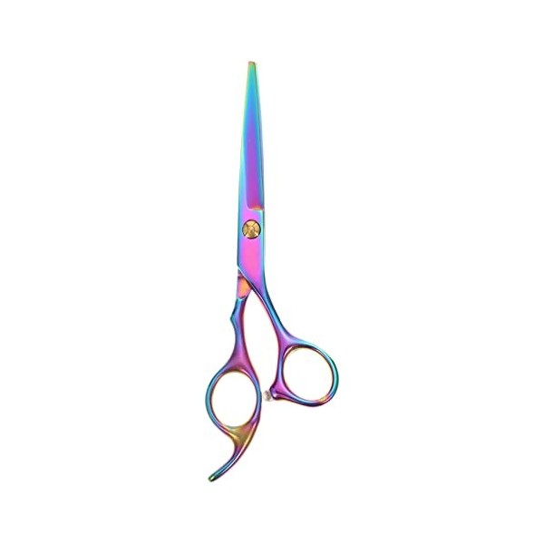 Healvian Pro de Ciseaux en Acier Ciseaux Coupes de Coiffure Coiffure Razor Shears Professionnel pour Salon Beauty Barber Scis