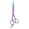 Healvian Pro de Ciseaux en Acier Ciseaux Coupes de Coiffure Coiffure Razor Shears Professionnel pour Salon Beauty Barber Scis