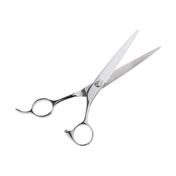 HZWLF Ciseaux de Coiffure Ciseaux de Coiffeur 1Pc Pro 7 Pouces Salon de Peinture Professionnel Coupe de Cheveux