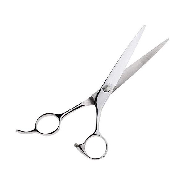 HZWLF Ciseaux de Coiffure Ciseaux de Coiffeur 1Pc Pro 7 Pouces Salon de Peinture Professionnel Coupe de Cheveux