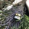 La Provencale Bio Jouvence : Crème anti-rides Cosmosorg pour le visage - 50ml - Soins du visage naturels - LUnité