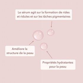 colibri skincare VITAMIN C BOOSTER 30ml - Sérum pour le visage avec 15% de vitamine C&nbsp; - Unifie le teint et a un effet anti