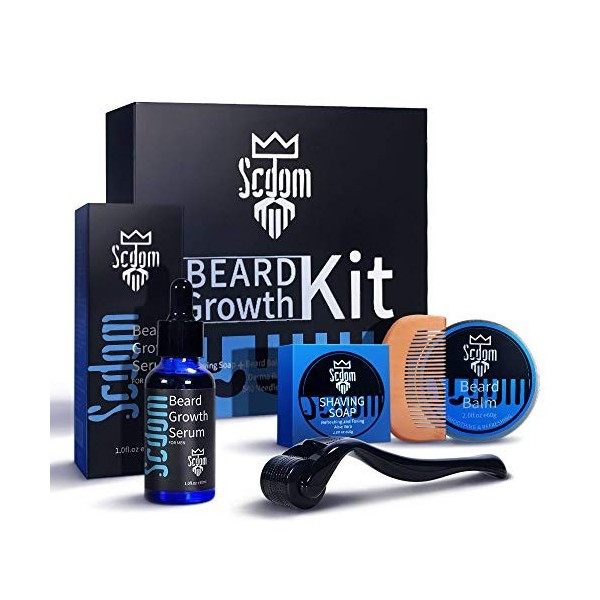 Kit de Croissance de la Barbe, Kit pour Faire Pousser la Barbe pour les Hommes Avec Derma Roller en Titane + Huile Sérum de C