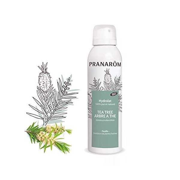 Pranarôm | Hydrolat Tea Tree - Arbre à Thé Bio | Assainissant | Melaleuca alternifolia - Distillation de plantes fraîches | 1