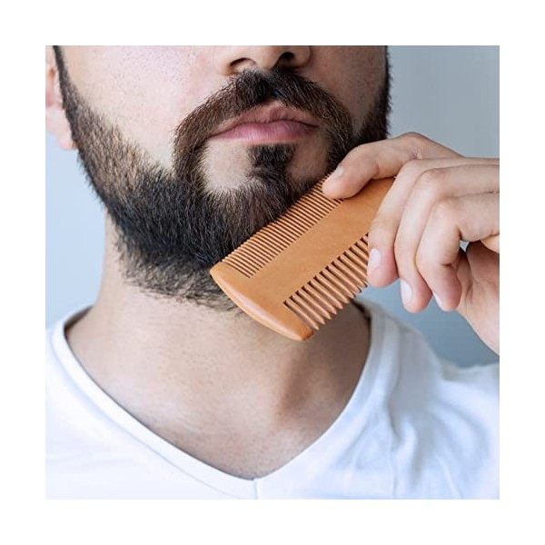 Ensemble Brosse et Peigne à Barbe pour Hommes Bois de Peigne Brosses à Cheveux de Poche avec Sacs de rangement pour Voyage, V