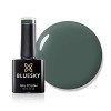 Bluesky Vernis Gel Semi Permanent Cure sous Lampe UV/LED Santa Red Dream Rouge Rose 10 mL