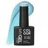 MyGel de MYLEE Vernis à Ongles en Gel 10 ml UV/LED Nail Art Manucure et Pédicure, Usage Professionnel dans le Salon et à la M