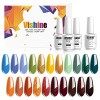 Vishine Lot de 24 Vernis à Ongles Semi permanent Vernis Gels UV LED Soak Off Rouge Blanc Black Classsique Collection Kit Mani