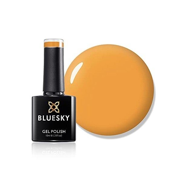 Bluesky Vernis à ongles gel, collection été 2021, Hey Dude! Ss2117, 10 ml orange, brillant nécessite un durcissement sous la