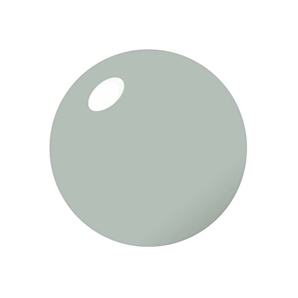 Vishine Vernis à ongles 15ml Vernis Semi-permanent Gel Polish UV LED Soak Off Manucure Sage 2059